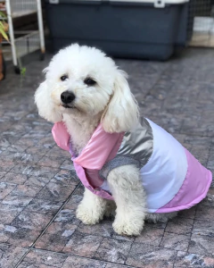 Chaleco impermeable EleCant "Macintosh" - para perros