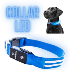 Imagen de Collar Led Recargable USB - Perros
