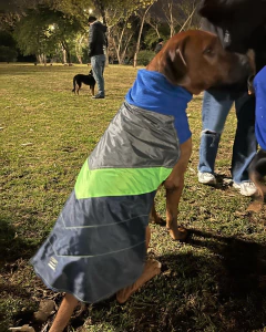 Capa impermeable EleCant "Bit" - para perros en internet
