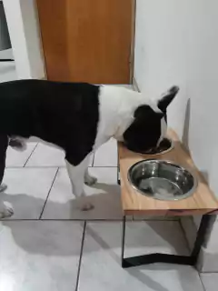 Comedero SIGMA doble - perros chicos - Happy Pets