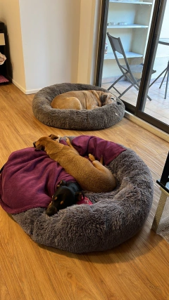 Cama Puff - Pelo de Mono - antiestrés - Happy Pets