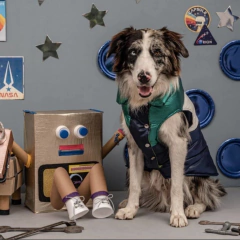 Chaleco impermeable EleCant "Matrix" - para perros - Happy Pets