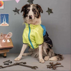 Piloto EleCant Amarillo - para perros en internet