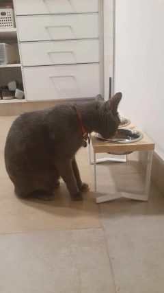 Imagen de Combo Cama Puff & Comedero en altura Paraiso doble - gatos