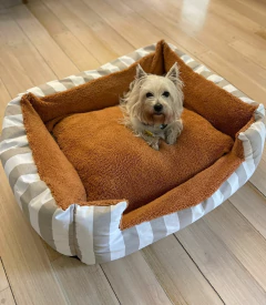 Combo Cama Moisés & Comedero en altura Paraíso doble - perros grandes - Happy Pets