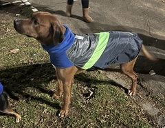 Capa impermeable EleCant "Bit" - para perros - Happy Pets