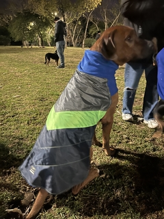 Capa impermeable EleCant "Bit" - para perros - comprar online