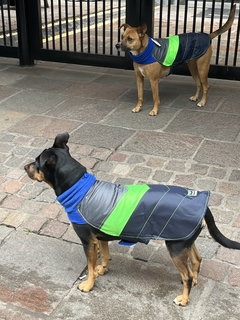 Imagen de Capa impermeable EleCant "Bit" - para perros