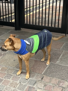 Capa impermeable EleCant "Bit" - para perros - tienda online