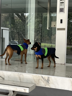 Capa impermeable EleCant "Bit" - para perros - tienda online