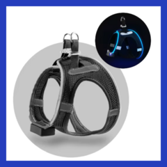 Pretal Led Recargable USB - perros chicos & gatos