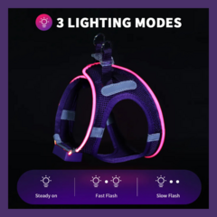 Pretal Led Recargable USB - perros chicos & gatos en internet