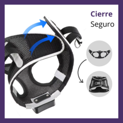 Imagen de Pretal Led Recargable USB - perros chicos & gatos