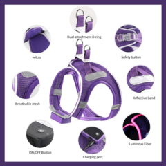 Pretal Led Recargable USB - perros chicos & gatos - comprar online