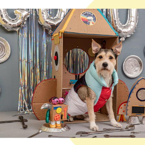 Chaleco impermeable EleCant "Rocket" - para perros - comprar online