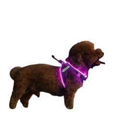 Pretal Led Recargable USB - perros chicos & gatos en internet