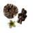 Imagen de SET RIZADOR + COFIA + BROCHE