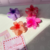 Set de 4 broches