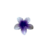 Broche flor de hibiscus - Ramebeautystore