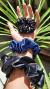 SCRUNCHIES MINI en internet