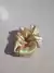 SCRUNCHIES MINI - Ramebeautystore