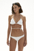 BIKINI SIENA en internet