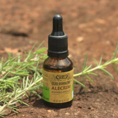 Óleo de Alecrim - 10ml - comprar online