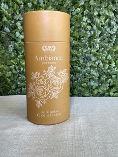Perfume Ambiance - 100ml - comprar online