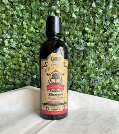 Shampoo de Vinagre de Maçã - Linha Organic