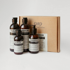 Kit de Manjericão - Linha Flora
