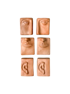 Conjunto de Sentidos - comprar online