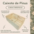 Caixa Organizadora de Madeira Pinus Grande - 20x31x50cm - comprar online