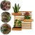 Painel de madeira com cachepots para jardim vertical 50x50cm - Repac Madeiras