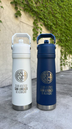 Botella Termica con Manija en internet