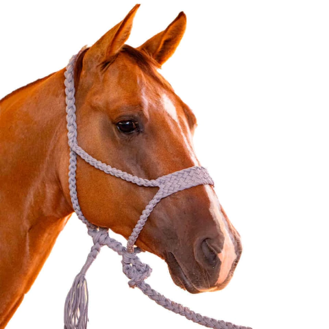 Cabresto Trançado Paracord - Cinza - comprar online