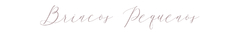 Banner da categoria Brincos Pequenos