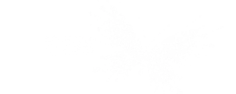 Geração Reborn 