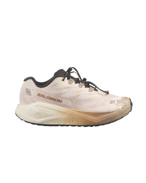 Zapatillas Aero Blaze 4 grvl Dama / SALOMON