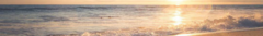Banner de la categoría BIKINIS
