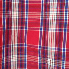 CAMISA - GAP - TALLE XS - A CUADROS ROJO Y AZUL en internet