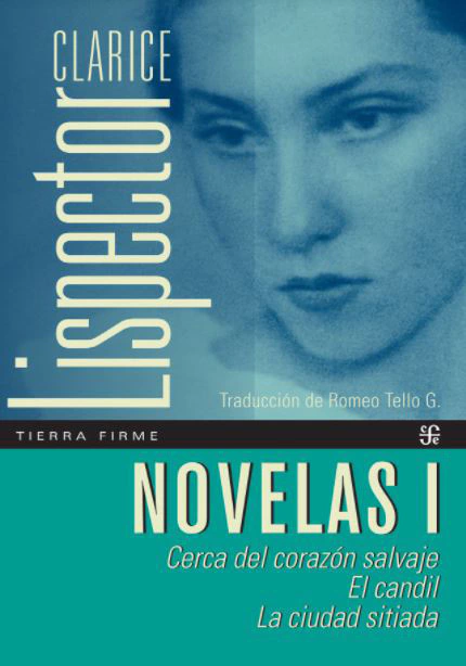 NOVELAS 01