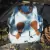 Mochila Free Style cor SWEET BLUE