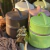 Necessaire Difusor Volo - Cor Verde Forgive on internet