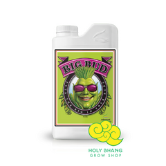 Big Bud Advanced Nutrients 1 lts