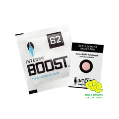 Boveda de curado Integra 4G