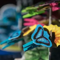 Papillon - tienda online