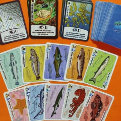 PatagoMAR - LaMesaRectangular