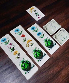 Kokedama - tienda online