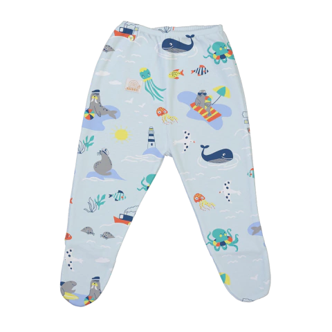 Ranita Oceano Celeste