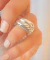 Anillo Suiza